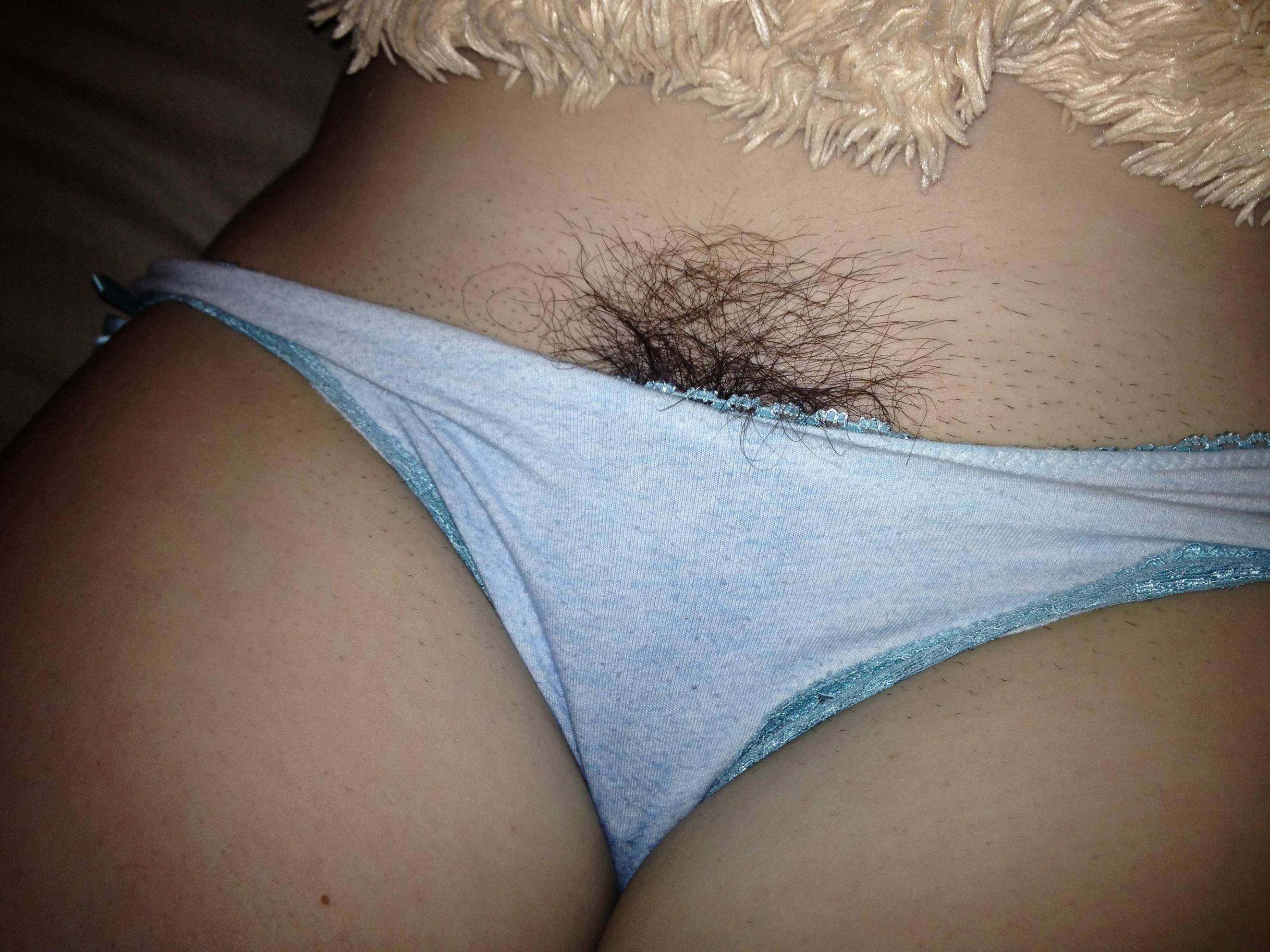 Hairy Pussy Panty Sex