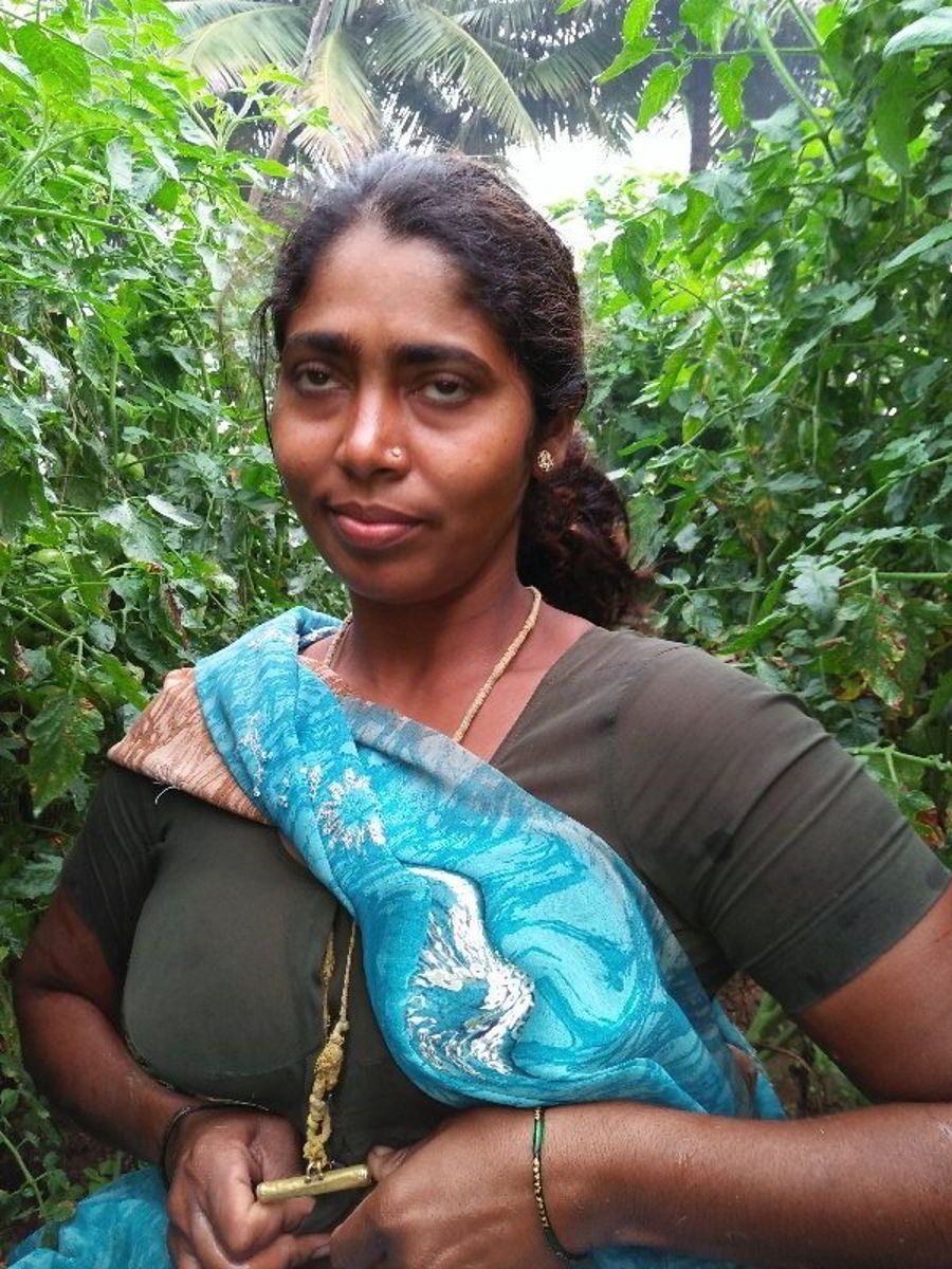 Tamil Aunty Sex