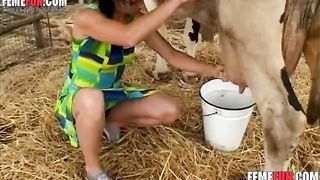 Hot cow pussy