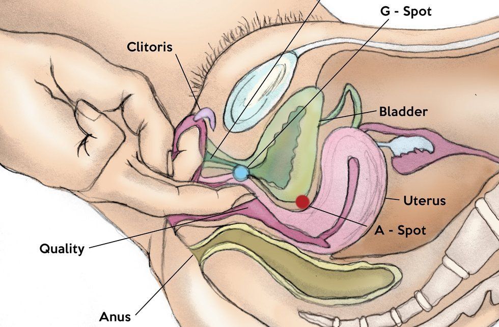 Climax g orgasm spot
