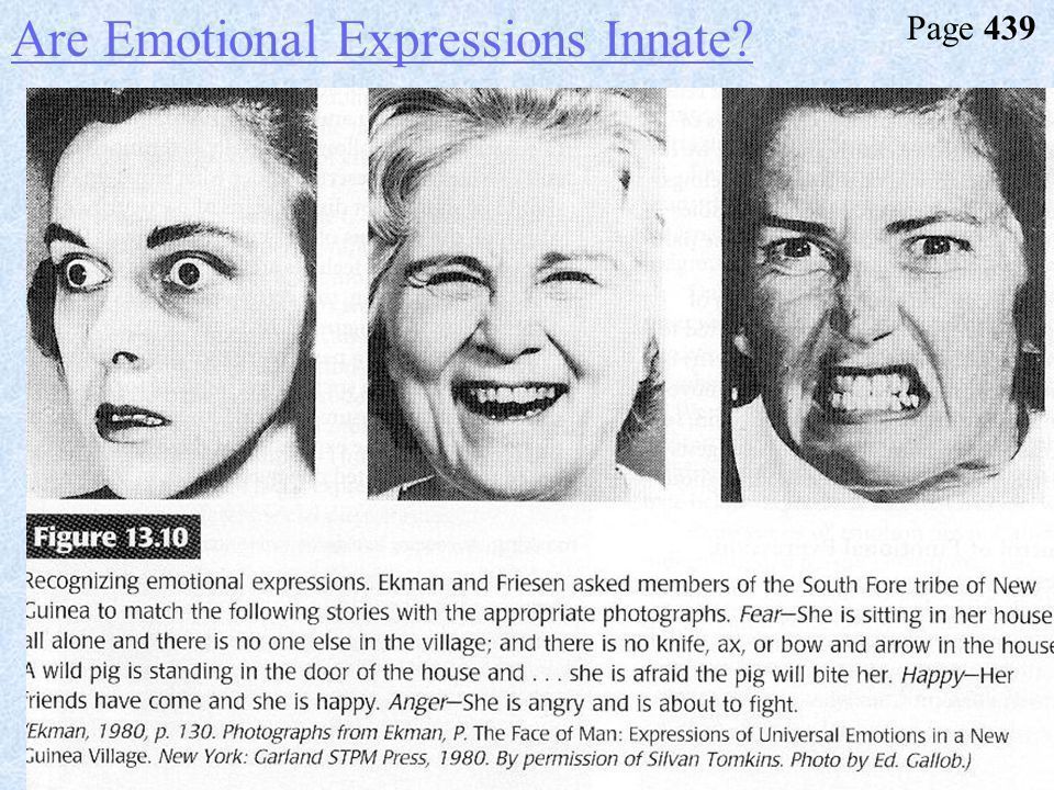 best of Expressions innate Facial