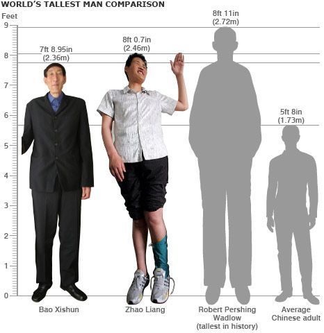 best of Asian female height Average