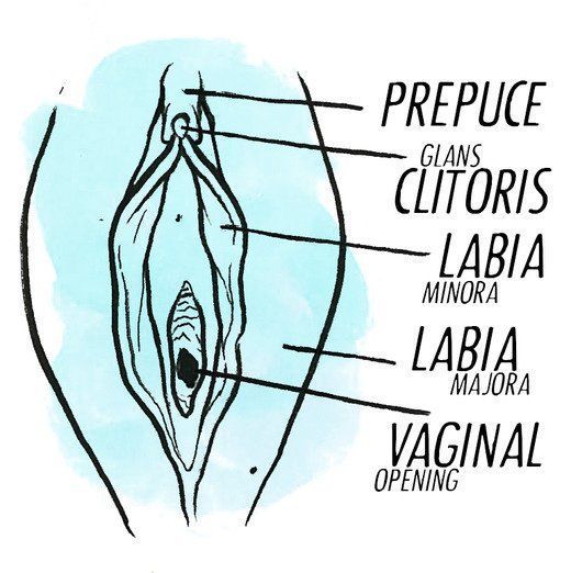 best of Stimulation position Clitoris