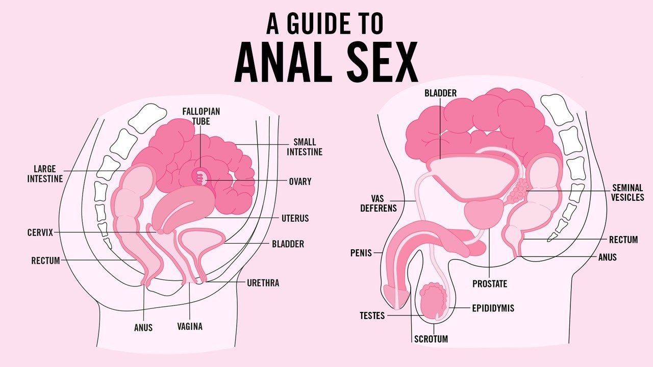 Venom reccomend Guide to recieving anal sex