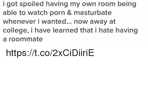 Wildcat reccomend I hate masturbation