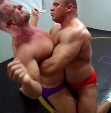 Bear gay wrestling