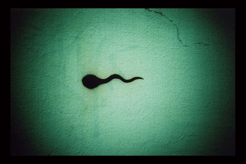 How long can sperm really survive in water Sperm FAQ