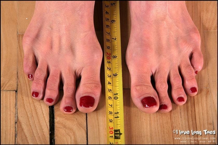Feet measure