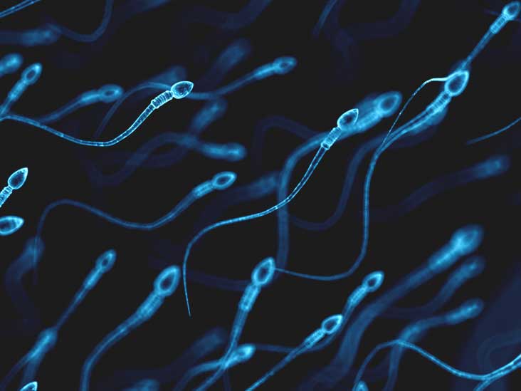 best of FAQ water really in survive How long can sperm Sperm