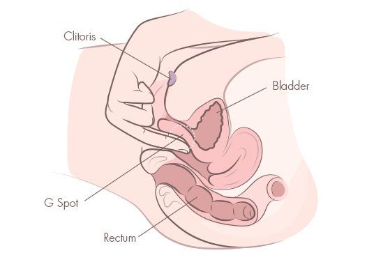 Penis penetrates her urethra